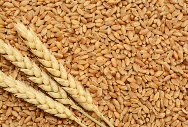 Аллергия на пшеницу