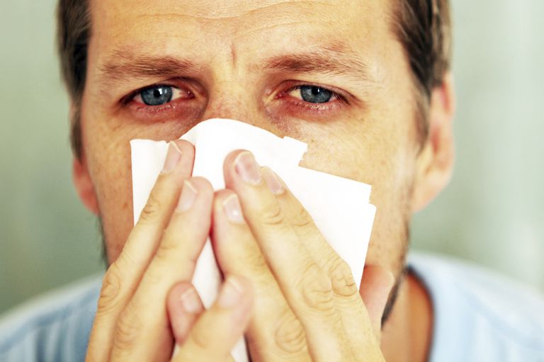 Симптомы и лечение сезонной аллергии у взрослых и детей