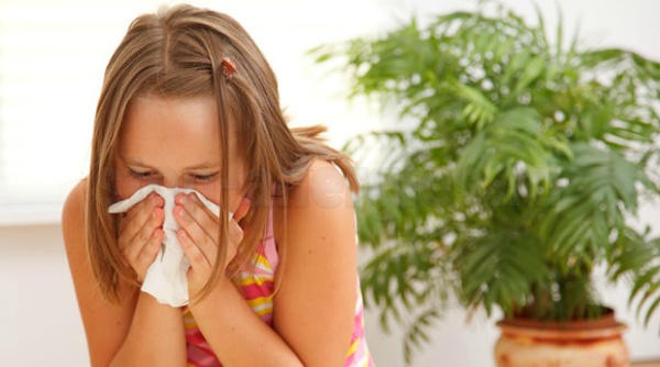 Как отличить аллергию от простуды
