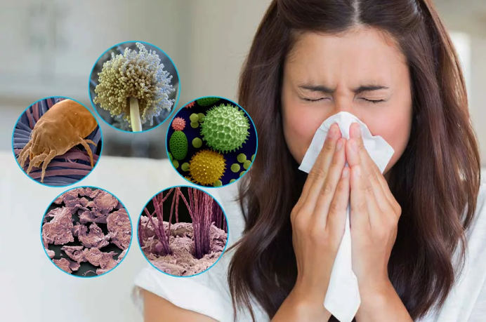 Аллергия дыхательных путей