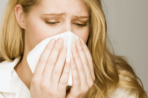Может ли лекарственная ромашка стать причиной аллергии у взрослого или ребёнка?