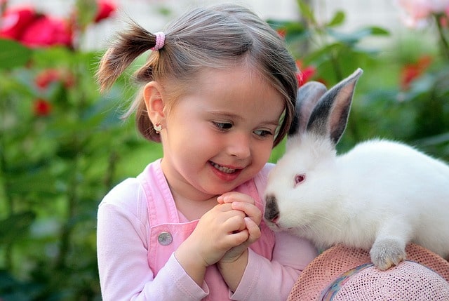 девочка держит кролика на плече