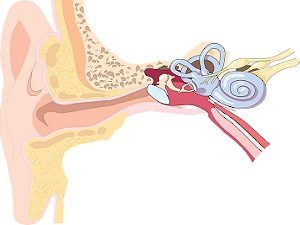 Нарушение слуха при назальном полипозе