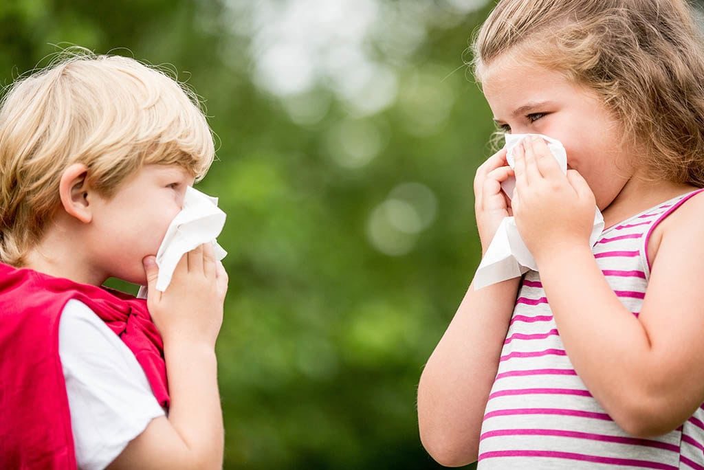 Симптомы и лечение сезонной аллергии у взрослых и детей