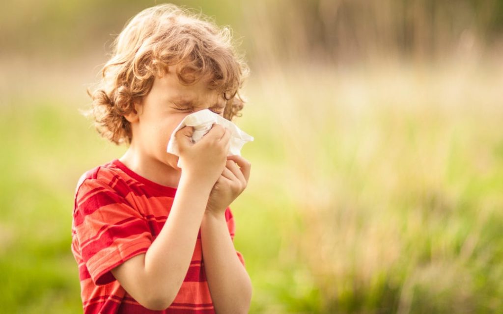 Как проявляется аллергия на липу у взрослых и детей?