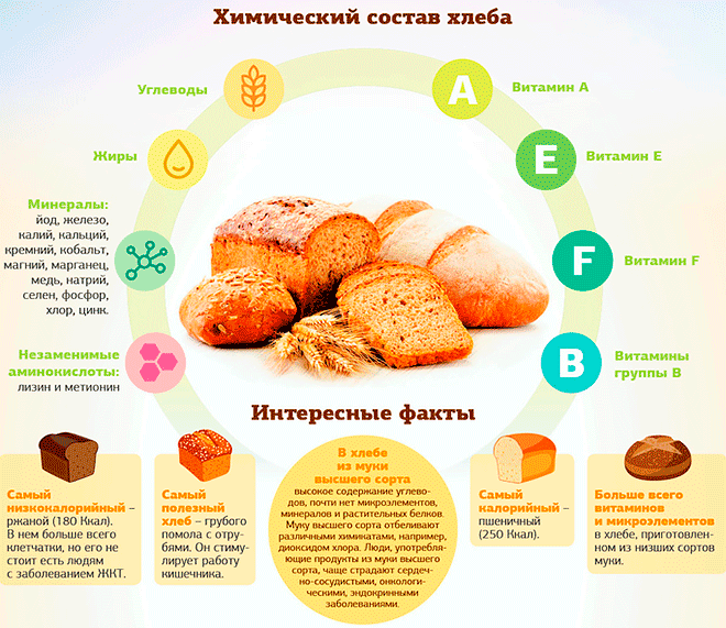 Полезные свойства разного хлеба