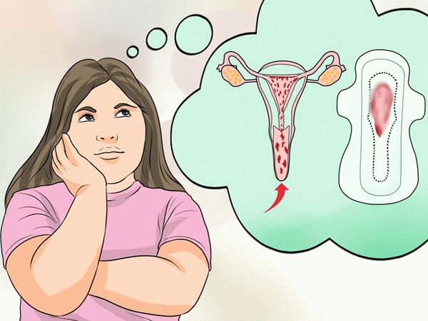 менструация в период полового созревания