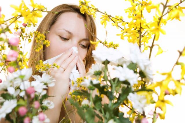 Фильтры для носа от аллергии