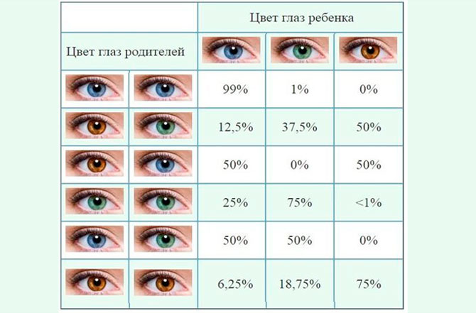 Сколько процентов глаз. Цвет глаз родителей и детей. Цвет глаз ребенка по родителям. Цвет глаз ребенка по цвету глаз родителей. Генетика голубые и карие глаза.