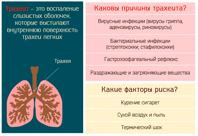 Острый трахеит презентация