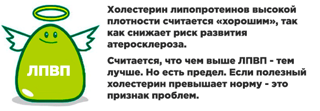 Повышение холестерина высокой плотности. Высокой плотности ЛПВП. Холестерин высокой плотности. Липопротеиды высокой плотности. Холестерин липопротеидов высокой плотности.