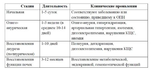 Стадии опн. Стадии развития острой почечной недостаточности. Признаки, характерные для олигурической стадии ОПН:. Острая почечная недостаточность шоковая стадия. Олигурическая стадия острой почечной недостаточности признаки.