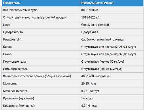 Норма мочи в сутки у взрослого